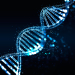 Trial court adequately explained reason for rejecting DNA testing request