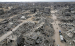 More experts see genocide in Israel's wartime conduct in Gaza